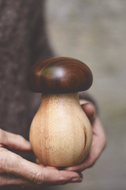 Hovedbilde Pepperkvern sopp