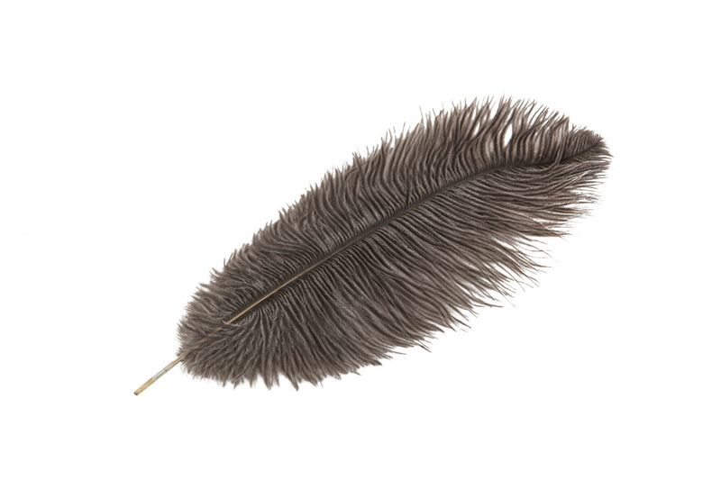 Strutsefjær 40-45cm. Natur